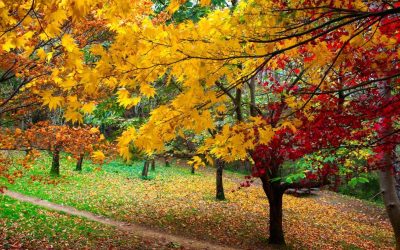 hotel mirotza orio guipuzkoa pagoeta jpg